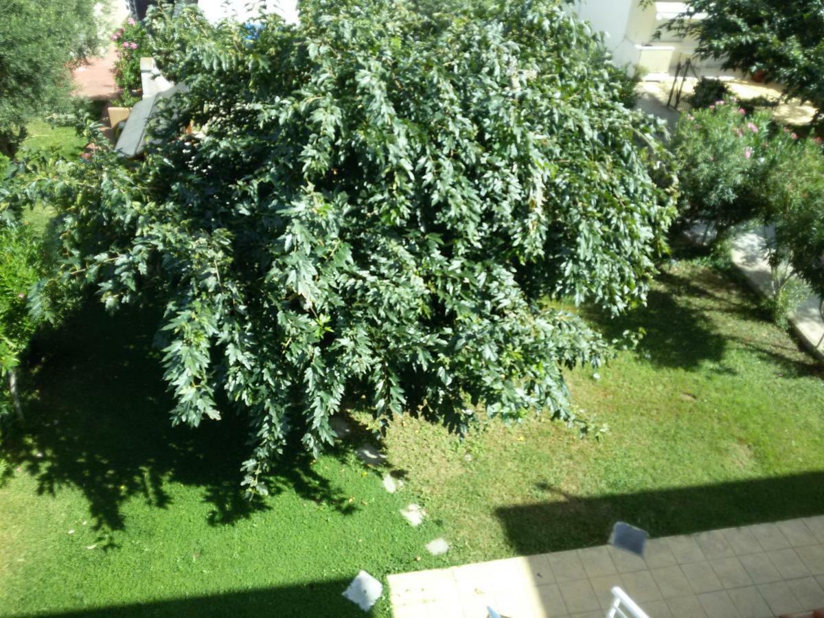 Dimar1 Seaside Apartment باراليا ديونيسيو المظهر الخارجي الصورة